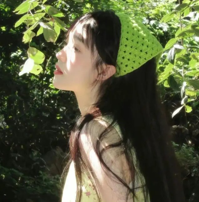 爱凡隆高校